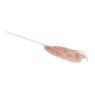 Miscanthus - oud roze - 77 cm