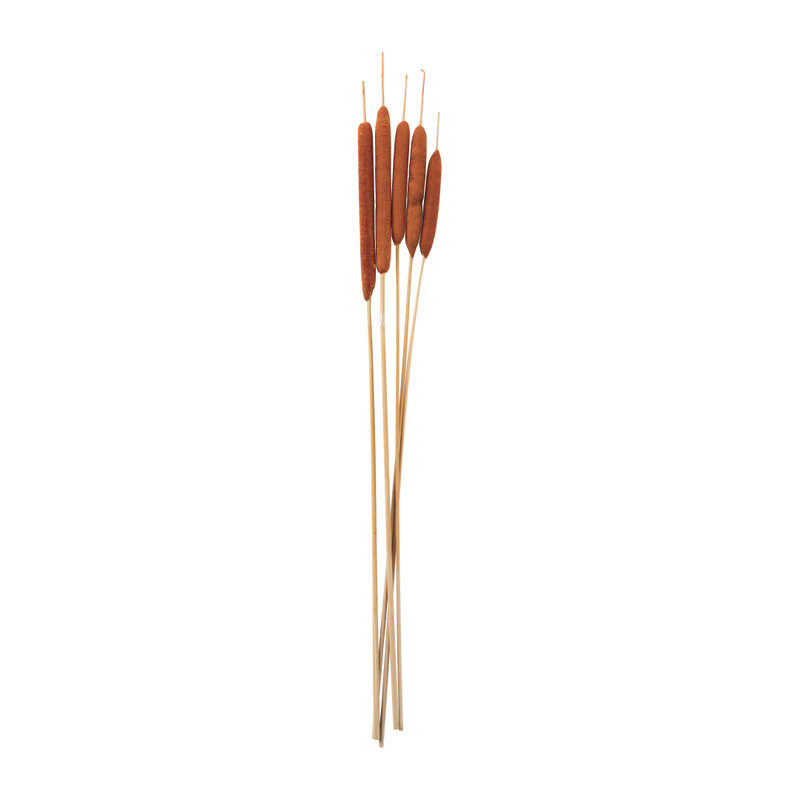 Sigaar - 5 stuks - oranje - 70 cm