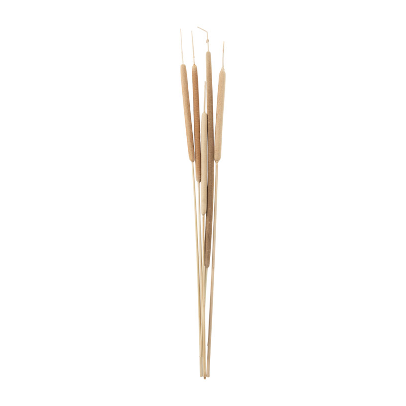 Sigaar - 5 stuks - naturel - 70 cm
