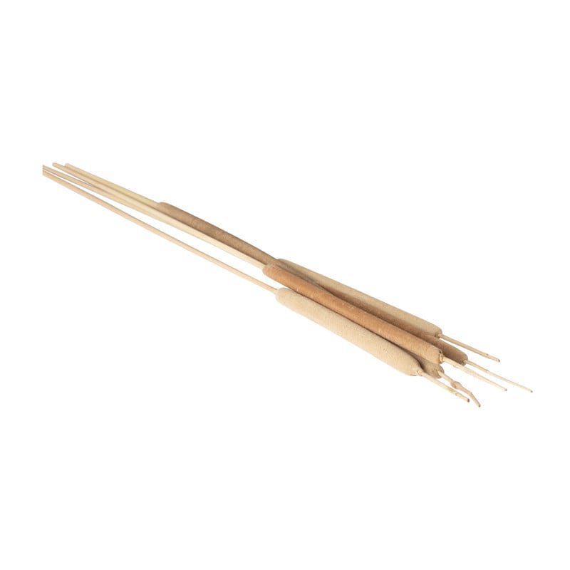 Sigaar - 5 stuks - naturel - 70 cm
