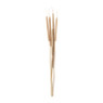 Sigaar - 5 stuks - naturel - 70 cm