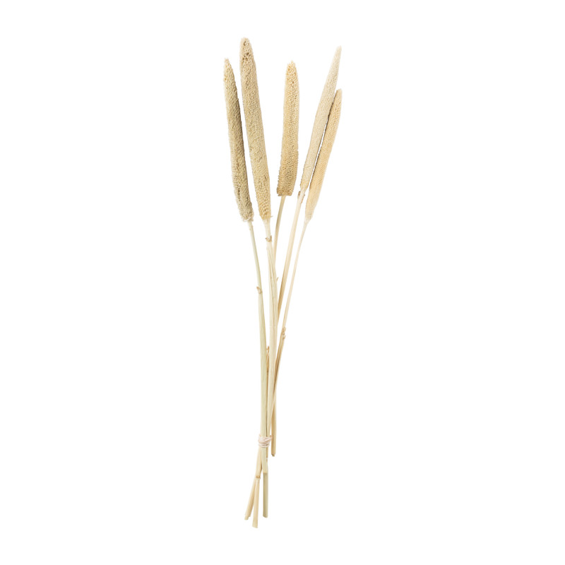 Babala - naturel - 70 cm