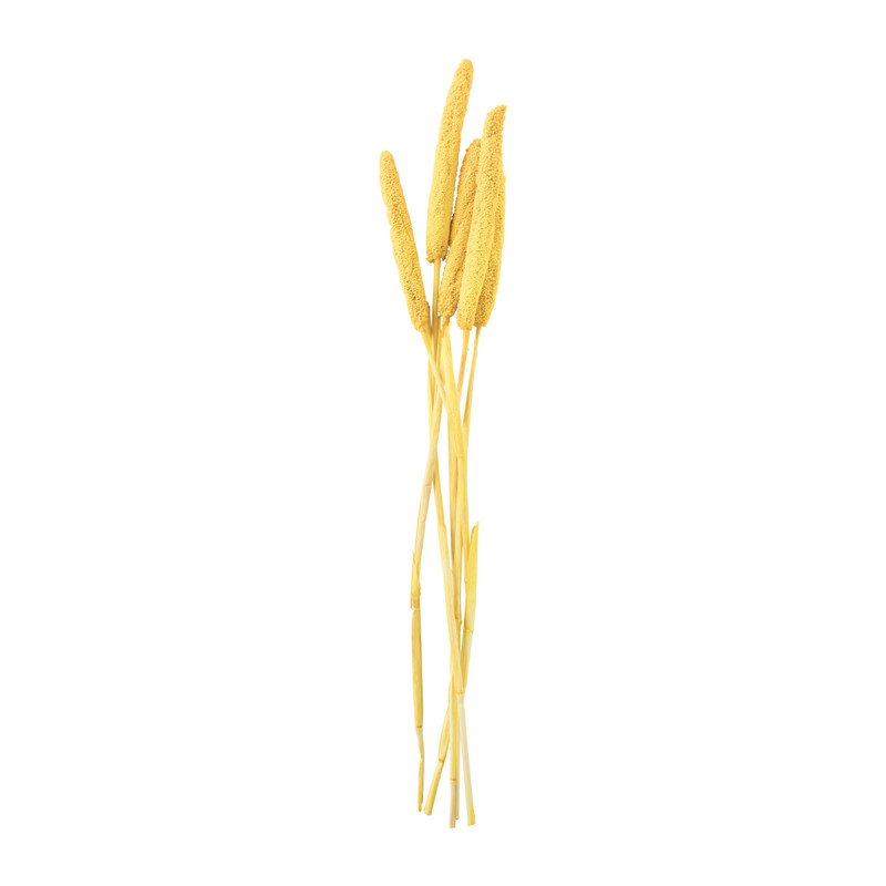 Babala - geel - 70 cm
