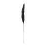 Pampas - zwart - 115 cm