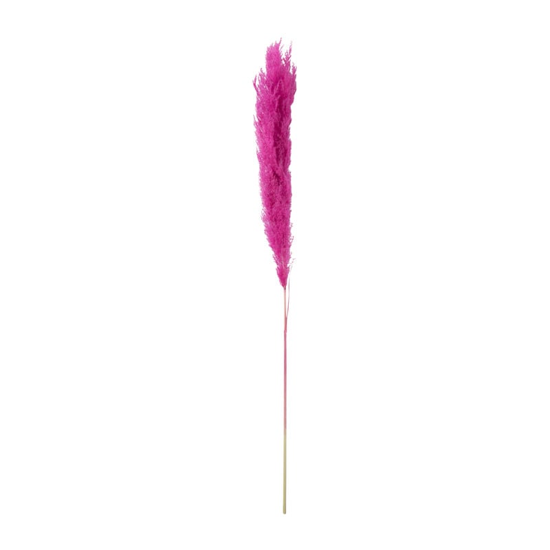 Pampas - fuchsia - 115 cm