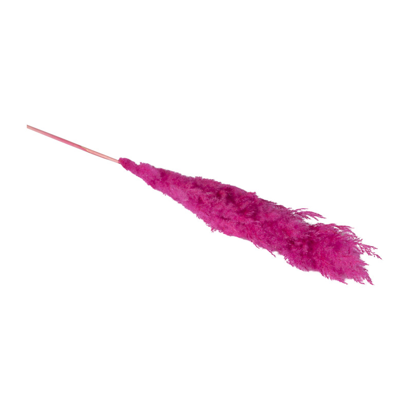 Pampas - fuchsia - 115 cm