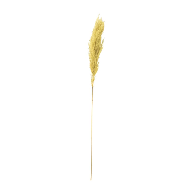 Pampas - geel - 115 cm