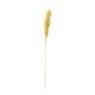Pampas - geel - 115 cm