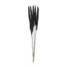 Droogbloem - Pluim small - zwart - 75 cm