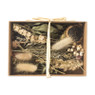 Doosje met droogbloemen - diverse varianten - 17x12x4,5 cm 