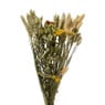 Droogbloem boeket gemixt - diverse varianten - 50 cm 
