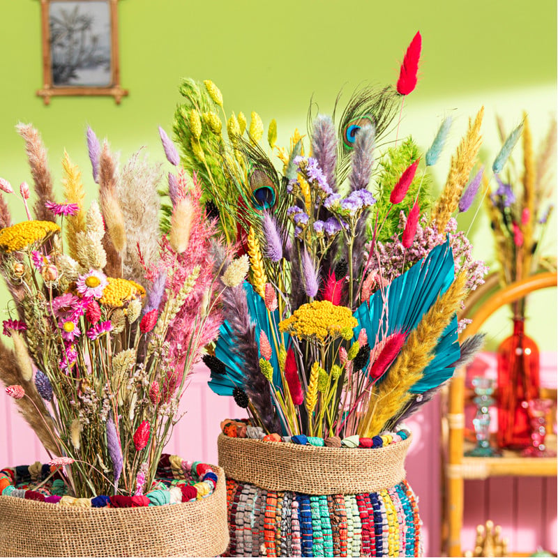 Droogbloem lagurus - lila - 60 cm 