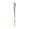 Droogbloem phalaris - lila - 60 cm