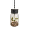 Hanglamp LED met vetplantje - ⌀10x21 cm
