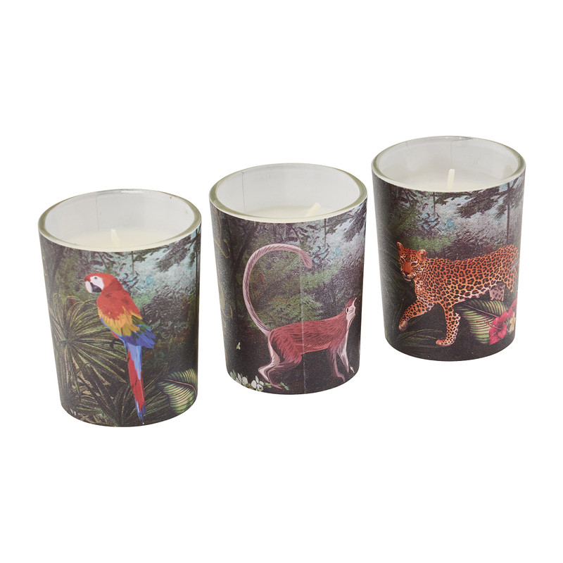 Kaars in glas jungle - set van 3