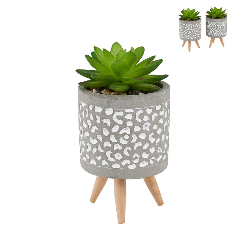 Plantje in potje van cement  - diverse varianten