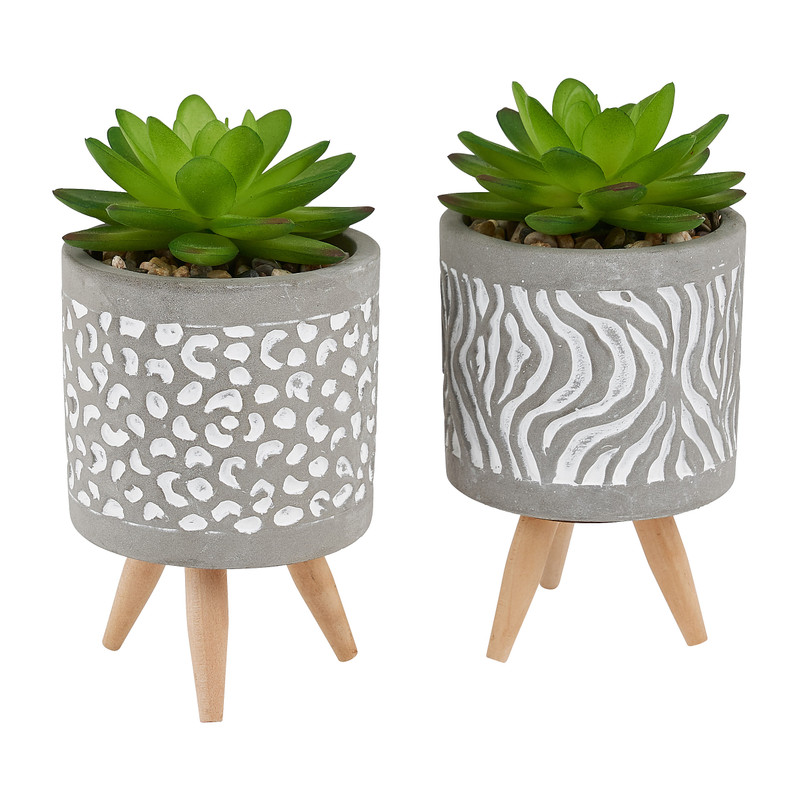 Plantje in potje van cement  - diverse varianten