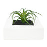 Wandpot keramisch - wit - 16x10x16 cm