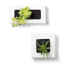 Wandpot keramisch - wit - 24x10x12 cm