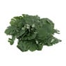 Gatenplant slinger - groen - 260 cm