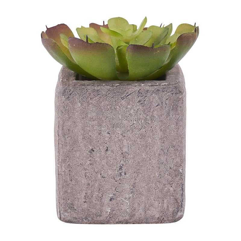 Kunstplantje in pot met magneet - diverse varianten