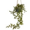 Hangplant in pot - 55 cm
