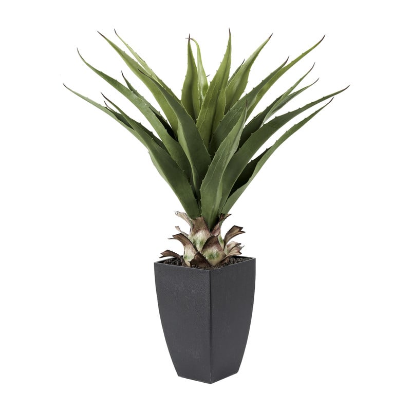 Aloë kunstplant - 75 cm