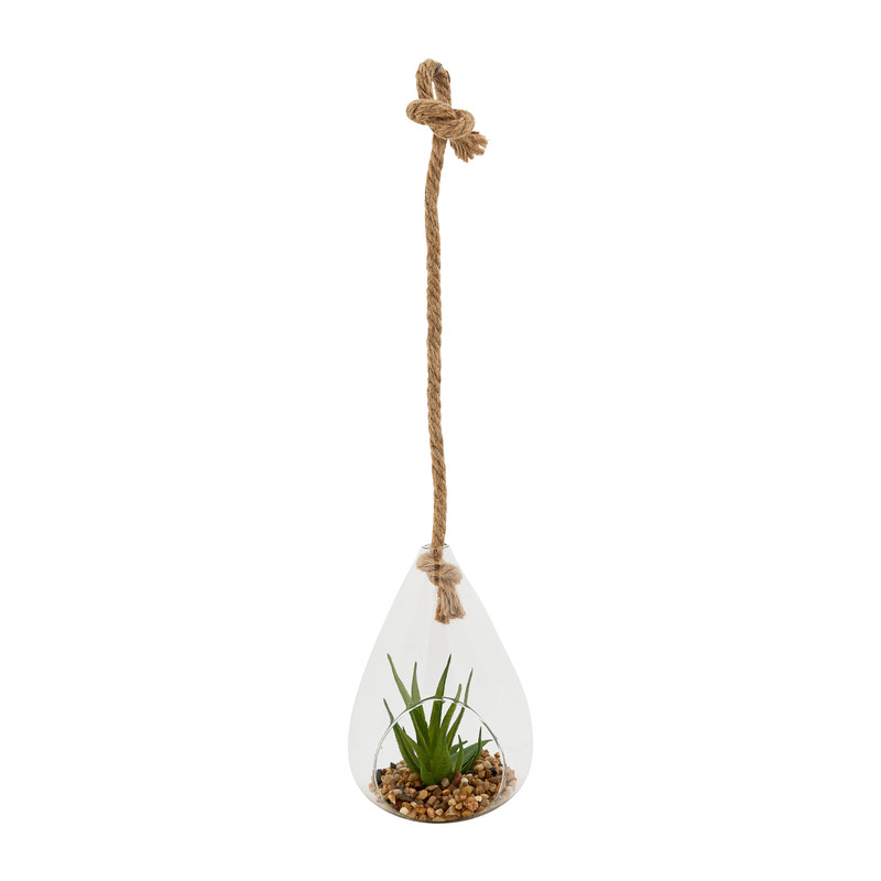 Plant in glazen hanger - diverse varianten - 12x11x19 cm