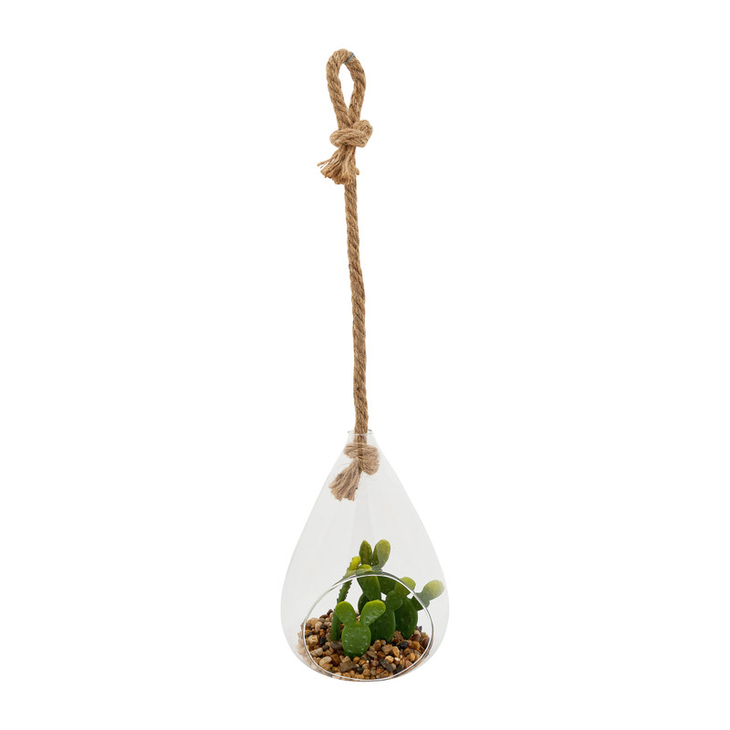 Plant in glazen hanger - diverse varianten - 12x11x19 cm