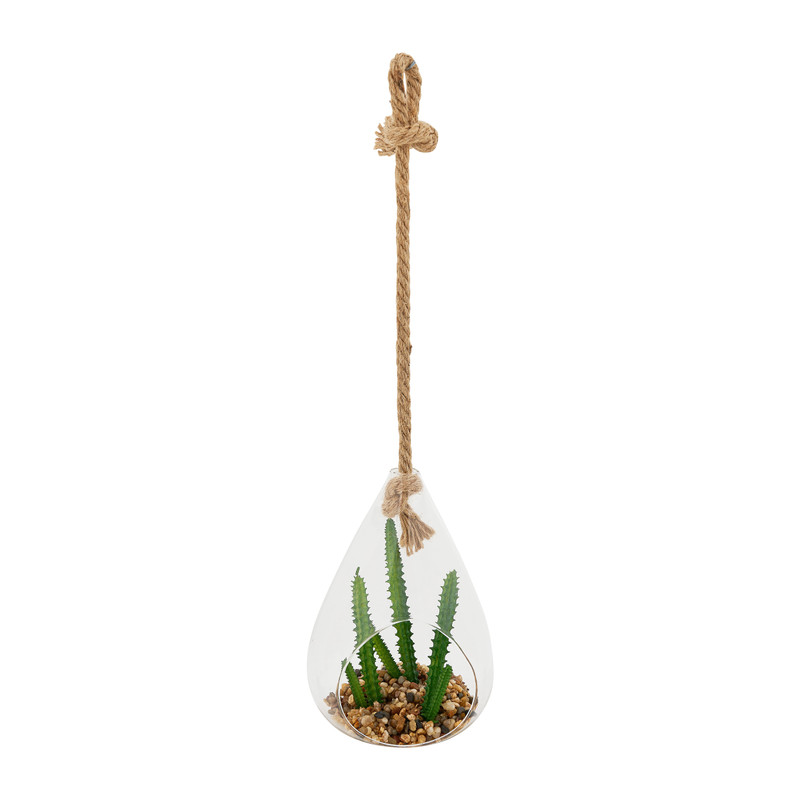 Plant in glazen hanger - diverse varianten - 12x11x19 cm