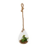 Plant in glazen hanger - diverse varianten - 12x11x19 cm