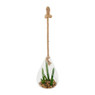 Plant in glazen hanger - diverse varianten - 12x11x19 cm