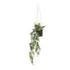 Hangplant - 65 cm