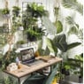 Hangplant - 65 cm