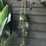 Hangplant - 65 cm