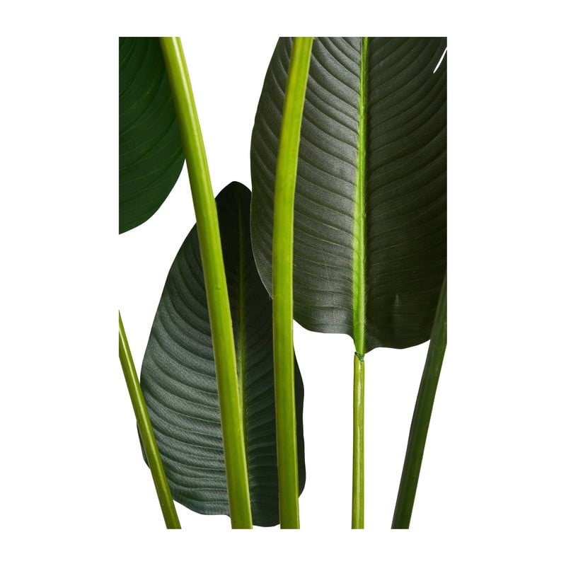 Strelitzia kunstplant - 150 cm