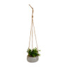 Plantenhanger kunstplant vetplant - Ø13x14 cm