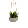 Plantenhanger kunstplant vetplant - Ø13x14 cm