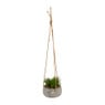 Plantenhanger rozemarijn - Ø13x14 cm