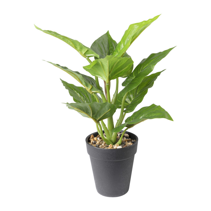 Calathea kunstplant - ø16x30 cm