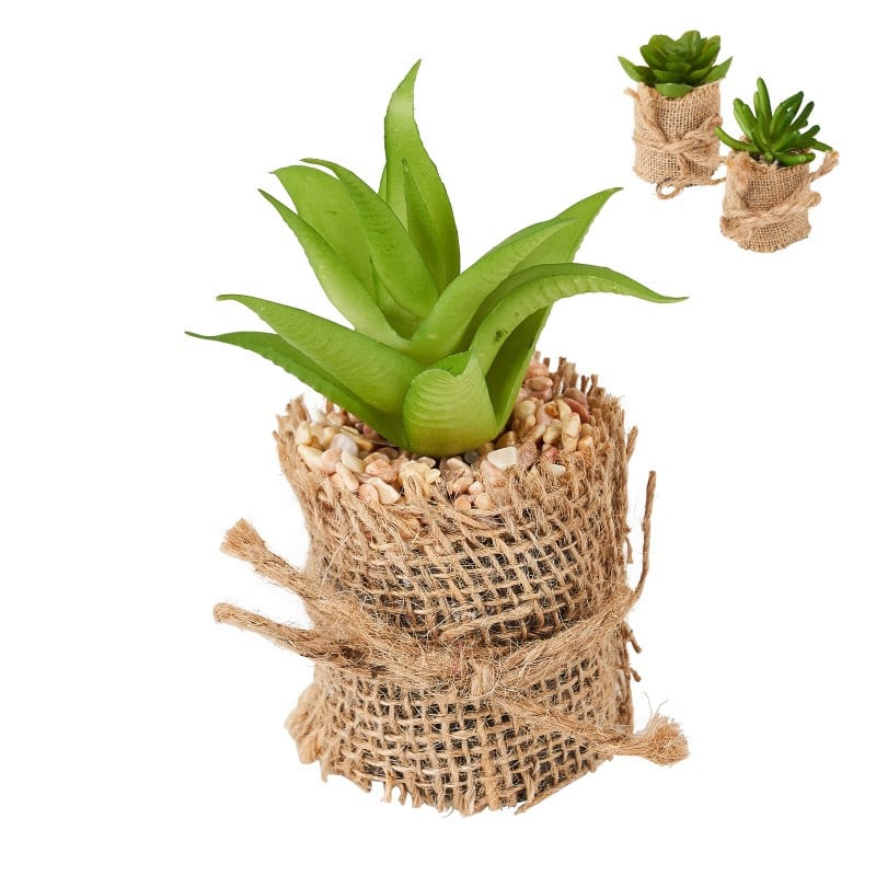 Vetplant met jute rand - diverse varianten