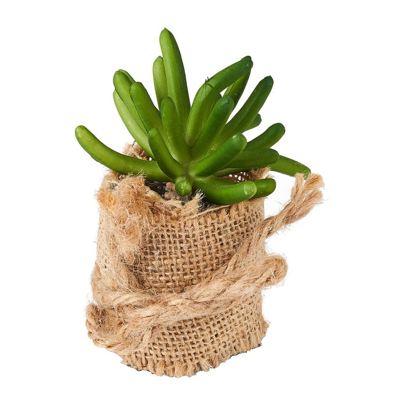 Vetplant met jute rand - diverse varianten