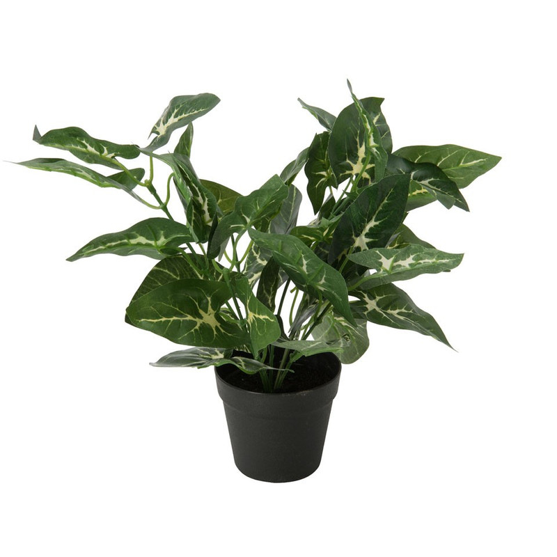 Kunstplant caladium  - ø9 cm 