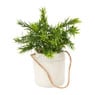 Kunstplantje in jute zakje - diverse varianten