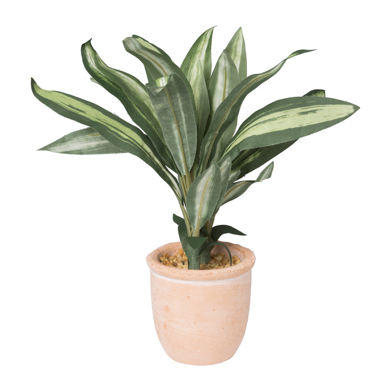 Aglaonema kunstplant - ⌀6x25 cm