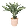 Aglaonema kunstplant - ⌀6x25 cm