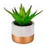 Citrinum kunstplantje in cement pot - ⌀8x14 cm