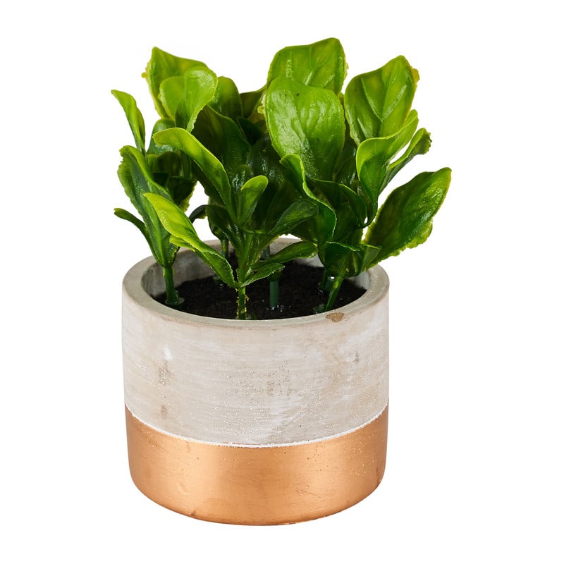 Sla kunstplantje in cement pot - ⌀8x14 cm