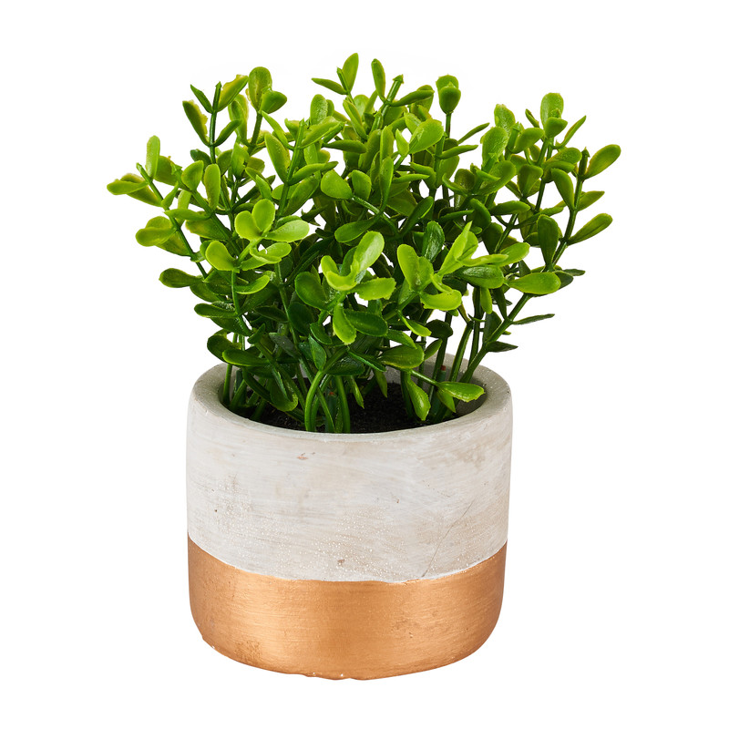Jade kunstplantje in cement pot - ⌀8x14 cm