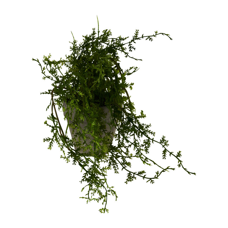 Hangplantje in potje - mini blad